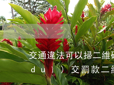 交通違法可以掃二維碼交罰款嗎(交警大隊(duì)交罰款二維碼)