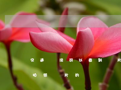 交通違法可以查到圖片嗎(違章查詢可以看到拍照圖片的)
