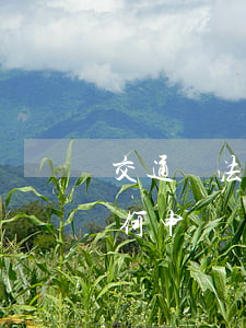 交通違法可以申訴嗎(交規(guī)違法如何申訴)