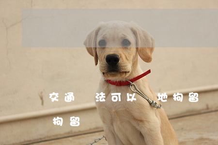 交通違法可以異地拘留嗎(交通違法可以異地拘留嗎)