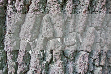 交通違法可以看到視頻嗎(交通違法視頻上傳到哪里)