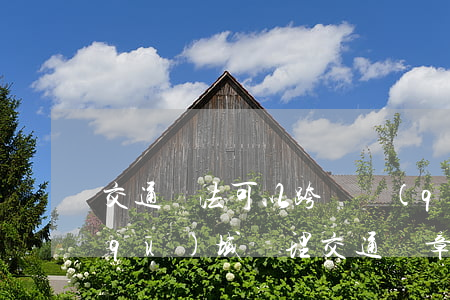 交通違法可以跨縣區(qū)處理嗎(跨區(qū)域處理交通違章)