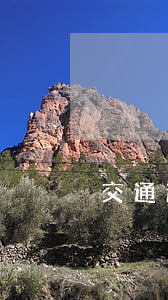 交通違法復(fù)議流程怎么走