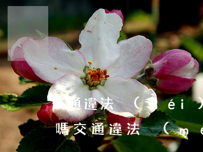 交通違法沒(méi)有照片的可以不處理嗎(交通違法沒(méi)有照片怎么辦)