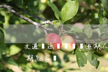 交通違法現場罰單逾期不處理(現場處罰單逾期怎么辦)