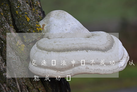 交通違法申訴不成功可以再申訴嗎(交通申訴能成功嗎)