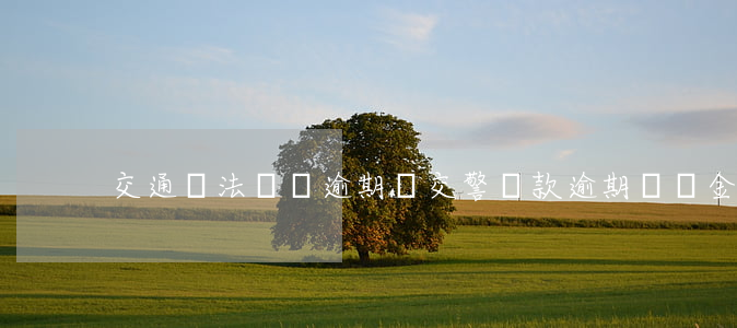 交通違法罰單逾期費 交警罰款逾期違約金