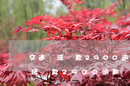 交通違法罰款2900逾期幾個月-交通違法罰款2900逾期幾個月了