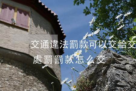 交通違法罰款可以交給交警嗎(公安交通管理處罰罰款怎么交)