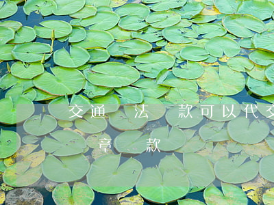 交通違法罰款可以代交嗎(怎么幫人代繳交通違章罰款)