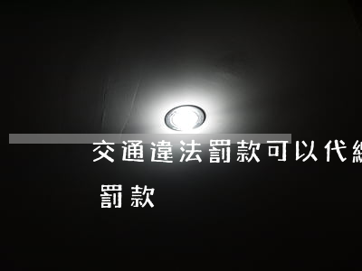 交通違法罰款可以代繳嗎(哪里可以代繳交通罰款)