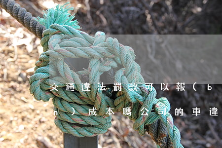 交通違法罰款可以報(bào)銷進(jìn)成本嗎(公司的車違章罰款可以報(bào)銷嗎)