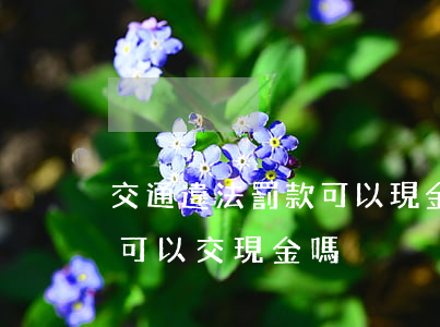 交通違法罰款可以現金繳納嗎(交通違章罰款可以交現金嗎)