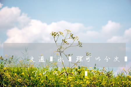交通違法處理可以分次處理嗎(車輛違章太多了可以分次數(shù)處理嗎)