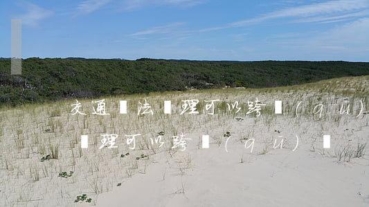 交通違法處理可以跨區(qū)嗎(交通違法處理可以跨區(qū)嗎)