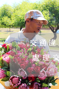 交通違法處理本人不去可以嗎(本人不去可以處理交通違章嗎?)