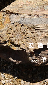 交通違法被拘留期間可以帶手機嗎(拘留時可以帶手機嗎)