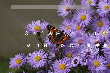 交通違法跨年違章可以處理在方面嗎(交通違章扣分可以跨年處理嗎)
