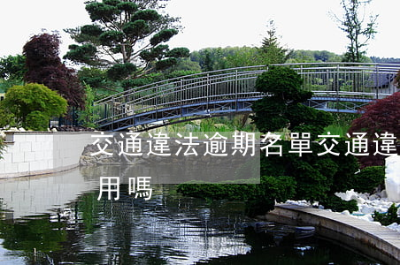 交通違法逾期名單(交通違章逾期處理影響信用嗎)