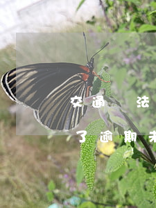 交通違法逾期未繳納罰款出新規(guī)了 逾期未交交通罰款