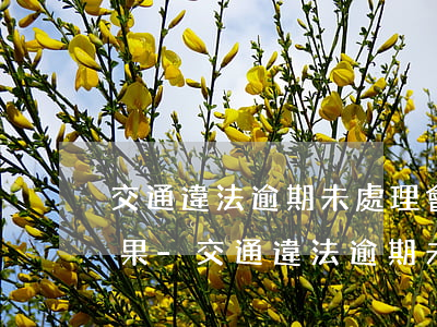 交通違法逾期未處理會(huì)有什么后果-交通違法逾期未處理會(huì)有什么后果嗎