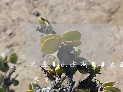 交通違法逾期繳費(交通違規(guī)逾期未交款)