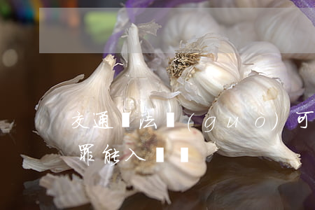 交通違法過(guò)可以入黨嗎(交通肇事罪能入黨嗎)