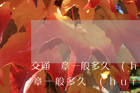 交通違章一般多久會(huì)逾期(交通違章一般多久會(huì)逾期)