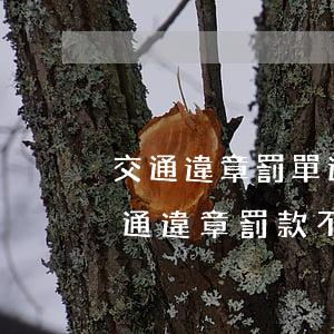 交通違章罰單逾期未交怎么辦上海-上海交通違章罰款不交有影響嗎