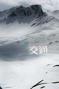 交通違規(guī)處罰逾期