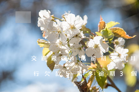 交通銀行4萬逾期3個月了怎么辦-交通銀行欠款5萬多,逾期3個月了怎么辦