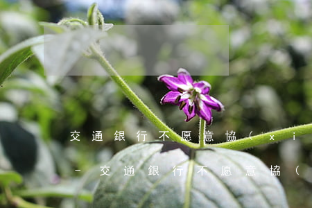 交通銀行不愿意協(xié)商分期怎么辦-交通銀行不愿意協(xié)商分期怎么辦呢
