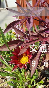 交通銀行信用卡5萬(wàn)逾期3個(gè)月 交通銀行欠款5萬(wàn)多,逾期3個(gè)月了怎么辦