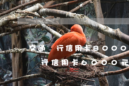 交通銀行信用卡8000多要起訴-欠交通銀行信用卡6000元,要起訴我怎么辦