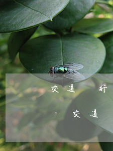交通銀行信用卡個(gè)性化分期被拒絕-交通銀行信用卡個(gè)性化分期被拒絕怎么辦