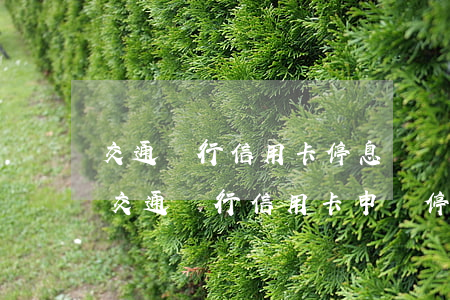 交通銀行信用卡停息掛賬什么意思-如何跟交通銀行信用卡申請停息掛賬