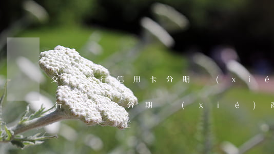 交通銀行信用卡分期協(xié)商(交通銀行信用卡分期協(xié)商申請范文)