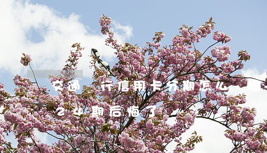 交通銀行信用卡分期怎么辦理-信用卡分期24期后悔了