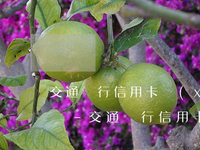 交通銀行信用卡協(xié)商還款算逾期嗎-交通銀行信用卡協(xié)商還款算逾期嗎怎么辦