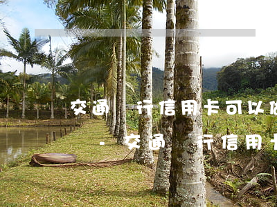 交通銀行信用卡可以做協(xié)商還款嗎-交通銀行信用卡可以做協(xié)商還款嗎