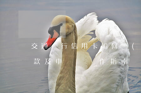 交通銀行信用卡如何協(xié)商分期還款及申請書寫作指南