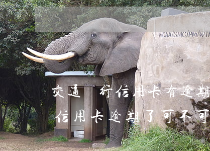 交通銀行信用卡有逾期能分期嗎(在交通銀行信用卡逾期了可不可以分期還款)