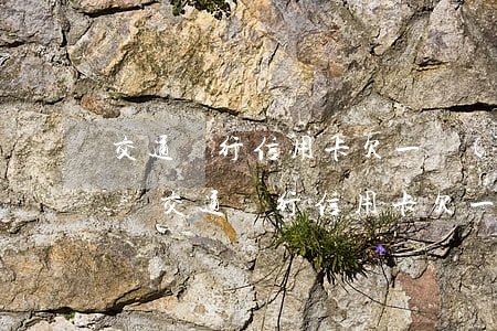 交通銀行信用卡欠一萬(wàn)多怎么辦-交通銀行信用卡欠一萬(wàn)多怎么辦理