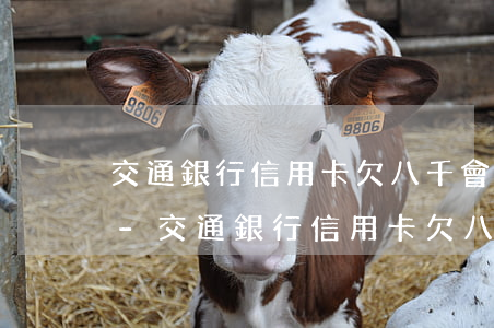 交通銀行信用卡欠八千會(huì)怎么樣-交通銀行信用卡欠八千會(huì)怎么樣啊