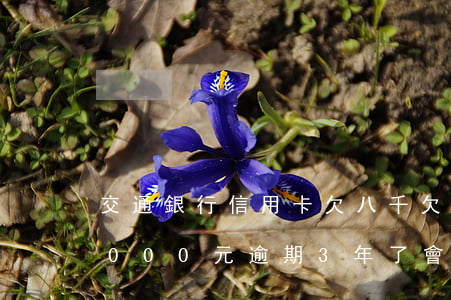 交通銀行信用卡欠八千(欠交通銀行信用卡2000元逾期3年了會(huì)判刑嗎)