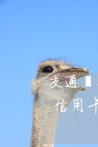 交通銀行信用卡每月還款還不上-交通銀行信用卡每月還款還不上怎么辦