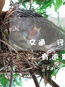交通銀行信用卡沒有逾期被凍結(jié) 沒有逾期為什么信用卡被凍結(jié)
