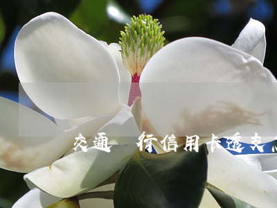 交通銀行信用卡透支怎么還(交通銀行卡還款)
