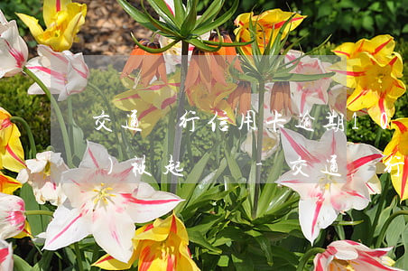 交通銀行信用卡逾期10000會(huì)被起訴嗎-交通銀行信用卡逾期10000會(huì)被起訴嗎知乎