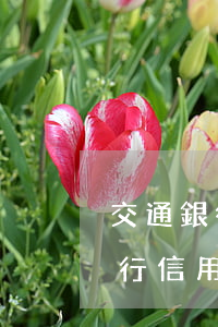 交通銀行信用卡逾期1萬多要上訴-交通銀行信用卡逾期1萬多要上訴嗎
